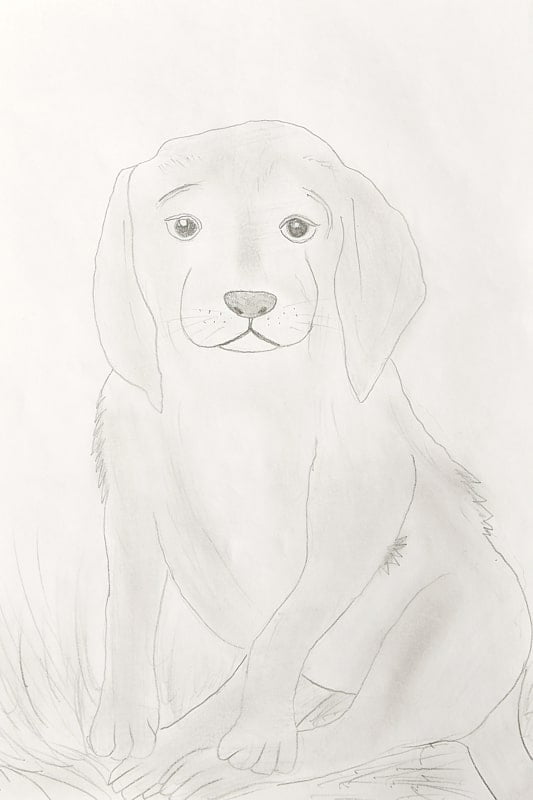 izdelava-risb-kuza-2-min