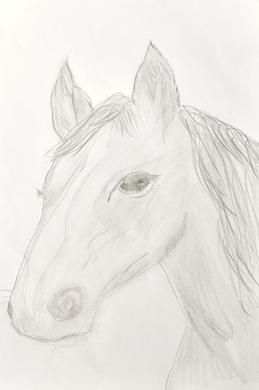 poslikave-sten-konj-min