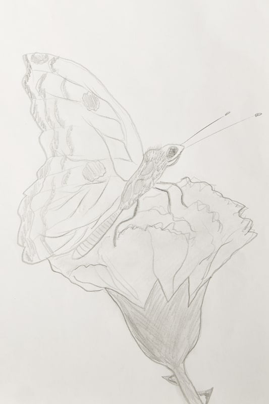 risane-risbe-zivali-min